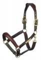 Capella Headcollar